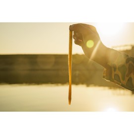 6TH SENSE Divine Magnum Shakey Worm - Power-Finesse Worm for Shakey Head, C-Rig, Wobble Head, Texas Rig and More - 9.5" (5/pk)