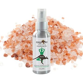 CocoRoo Aromatherapy Mist (Focus - Peppermint and Eucalyptus)