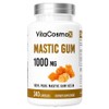 VitaCosmoX Mastic Gum 1000mg Capsules, 1 Count, 240 Tablets / VitaCosmoX 매스틱 검 1000mg 캡슐, 1개, 240정