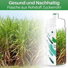 HiLo sports Set of 2 Bicycle Water Bottles, 500 ml, Sugarcane Wheel Bottle, Tight Sports Bottle, Bicycle Bottle, Bicycle Bottle (White, Green)