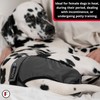 FINNERO Brenda Reusable Dog Diaper, Leak-Proof, Adjustable, Heat & Incontinence