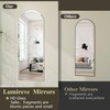 Over the Door Mirror Full Length, 48x14 Inch Frameless Door