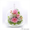 Art Four Season Luminous Rose, Preserved Flower, Rabbit