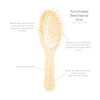 Acca Kappa Pneumatic Beech Wood Oval Brush with Wooden Pins