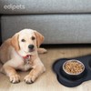 Edipets, Futternapf für Hund Katzen und Haustiere, Trinker für Hund