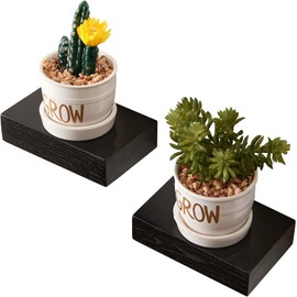 OAKERLAND Small Oak Floating Shelves, 2PC Black Wall Shelves Wooden Mini Wall Mounted Shelf for Decor Plant, Little Black Display Shelf for Living Room Bedroom Bathroom