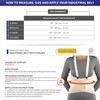 CHAMPION Industrial Belt Elastic Back Brace, Abdominal Support, Shoulder Straps,