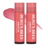 Burt's Bees Lip Tint Balm with Long Lasting 2 in