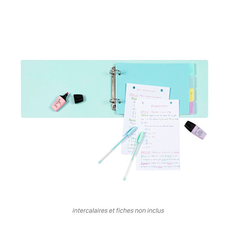 Viquel - Bristol Index Folder with Identification Labels - 2