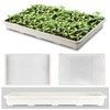 RooTrimmer 5 Pack Nursery Pot Tray, Carrying and Holding Plant