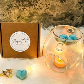 Frosted Eucalyptus Wax Melts - 16x 5g Hearts - Highly Scented - Soy Wax - Long Lasting & Strong - Mrs Hinch Inspired
