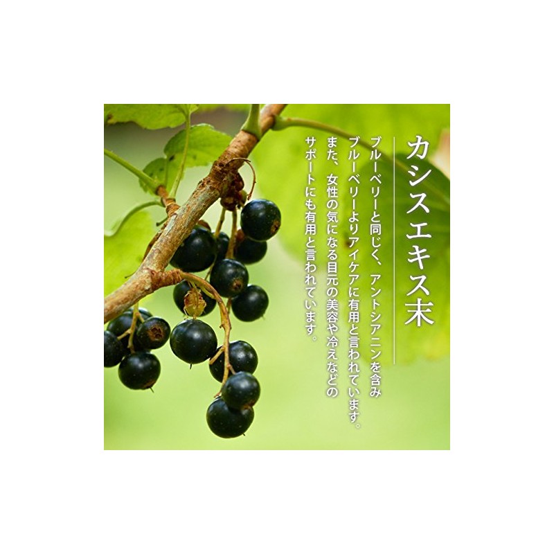 ogaland Blueberry Supplement, 270 Tablets, Approx. 3 Month Supply, Pill