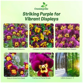Outsidepride 100 Seeds Annual Viola Miniola Heart Purple Flower Seeds for Planting