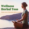 FullChea - Oregano Tea Bags, 30 Teabags, 2g/Bag - Premium