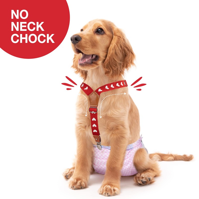 Pet Soft Dog Suspenders 2 Pieces Female Dog Diaper Suspenders