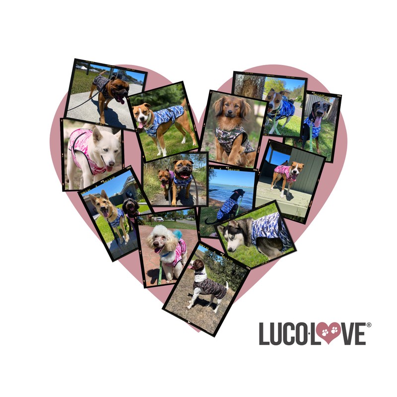 LUCOLOVE LUCOLOVE Dog Cooling Vest - 2-Layer Lightweight Performance -