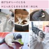 Cat Toy, Pet Toy, Mouse Toy, Set of 8, Cat