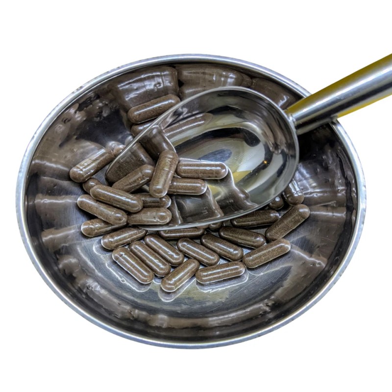 Honest Herbs Worm & Parasite Blend - Natural Cleanse Formula
