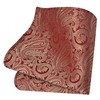 Gusleson Mens Gold Red Tie Paisley Wedding Solid Silk Necktie
