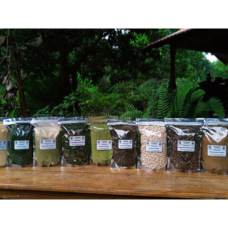 Soursop Tea 300 Pieces Grade A Well Cleaned