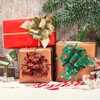 KINGLAKE Christmas Bows 24PCS Pull Bows Large Gift Bows for