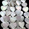 AlohaGemsUSA Silvery-White Nautilus Shell Beads with Superior-Grade Nacre (One of