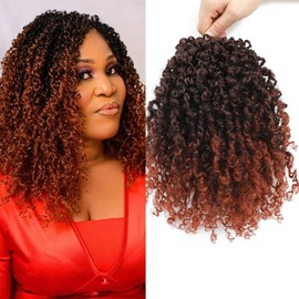 Datanala Yanky Twists Crochet Braiding Hair 10 Inch 9 Packs Crochet Hair with Curls Micro Spring Twists Pre-looped Curly Braids Extensions for Women (T350#, 10inch)