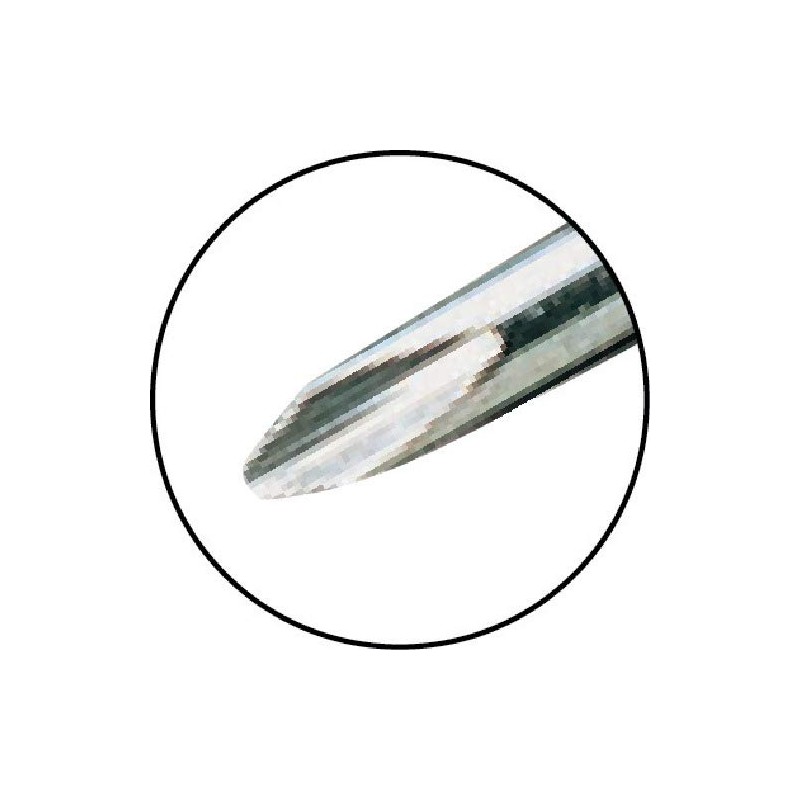 Gym (anex) Stainless Steel Luminous Driver Regular Type plus 3