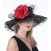 SAFERIN SAFERIN Women's Organza Church Kentucky Derby Hat Feather Veil