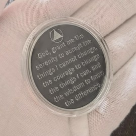 Grateful to Be Alive Sobriety Chip AA Coins and Medallions Recovery Anniversary Token (Pack of 10)