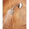 Moen 6300 One-Function Spray Head Standard Showerhead, 2 1/2-Inch Diameter,