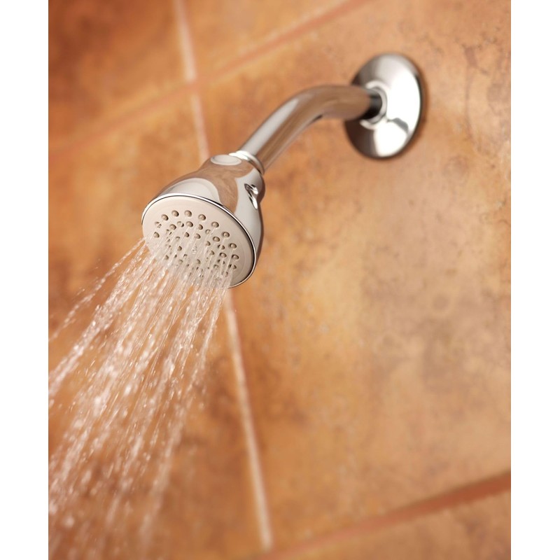 Moen 6300 One-Function Spray Head Standard Showerhead, 2 1/2-Inch Diameter,