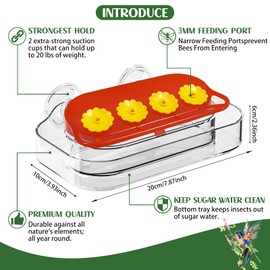 Window Bird Feeders, Window Hummingbird Feeder, Window Hummingbird Feeder Suction Cup | Bird Feeders 4 Feeding Ports for Standing and Drinking