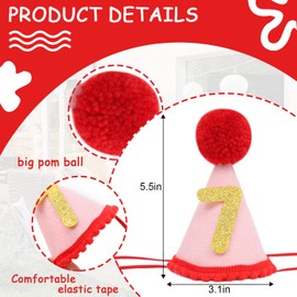 Pet Birthday Hat with Interchangeable Numbers 1-10 | Adjustable Pet Party Cone Hat for Dogs & Cats | Puppy Birthday Photo Props for 1st to 10th Birthday Celebrations (Red Pink Birtgday Pet Hat)