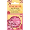 Burt's Bees 100% natural origin Moisturizing Lip Butter with Wild
