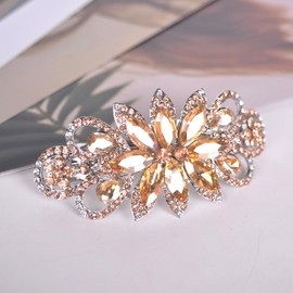 Sankuwen Flower Rhinestone Hairpin Luxury Jewelry Designed Hair Accessory French Barrette Hair Clip (Champagne)