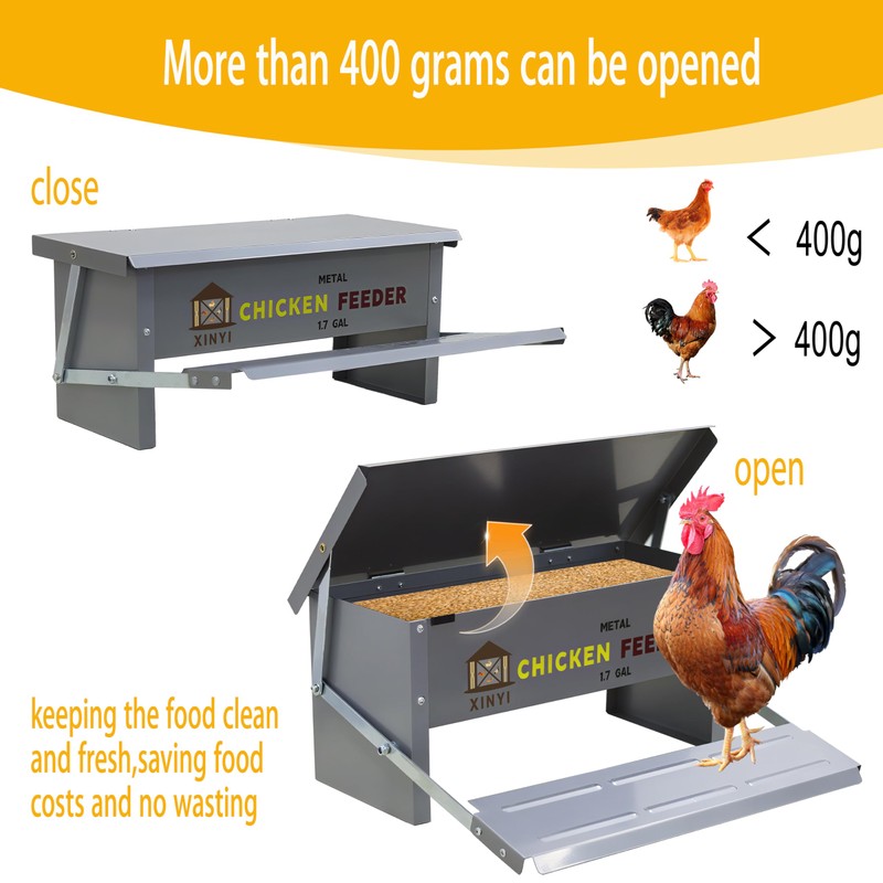 XINYI Chicken Treadle Feeder,12 Lbs Metal Treadle Feeder, No Waste