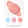 JUNG SAEM MOOL Artist Cushion Blush | Easy to Blend
