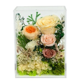 Valley of Rain & Forest Long-Lasting Real Flowers, Handcrafted Preserved Rose Bush For you to Send Love for All Occasions, Floral Arrangement for Indoor Decoration (Yellow Champagne Rose)
