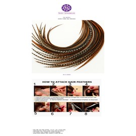 25 Feather Hair Extension Kit 7"-13" long – 100% Real Rooster Feathers – Long, Natural Strands by Sexy Sparkles (Dark Browns)