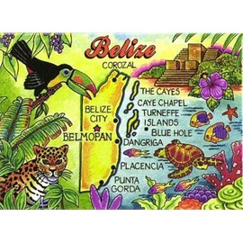Belize Map Caribbean Fridge Collector's Souvenir Magnet 2.5" X 3.5"