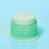 Tony Moly [Tony Moly] Eoseong Chocica Cooling Moisture Cream (100ml)