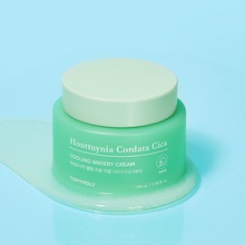 Tony Moly [Tony Moly] Eoseong Chocica Cooling Moisture Cream (100ml) / [토니모리]어성초시카 쿨링 수분 크림(100ml)
