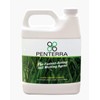 Penterra Soil Penetrant and Wetting Agent – Promotes Water Movement