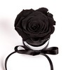 ROSEMARIE SCHULZ Heidelberg Small Rose Box White Round Infinity Rose