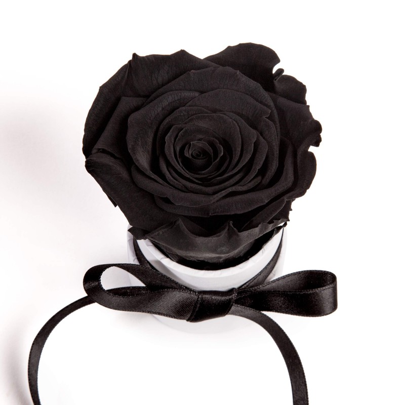 ROSEMARIE SCHULZ Heidelberg Small Rose Box White Round Infinity Rose