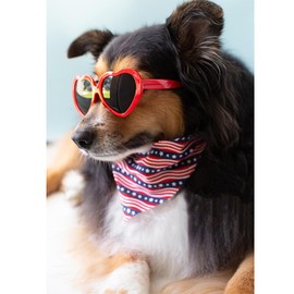 Lionheart glory American Flag Dog Bandana 1 Pack Washable Soft Dog Scarf, Square Adjustable Dog Bandanas for Medium Large Dogs