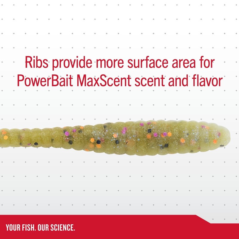 Berkley Powerbait Maxscent Flat Worm Fishing Soft Bait , Black,