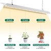 SZHLUX LED Grow Light 2FT Full Spectrum 2 Pack 80W