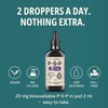 P5P Liquid Drops – Activated Vitamin B6 (Pyridoxal-5-Phosphate) – Fast